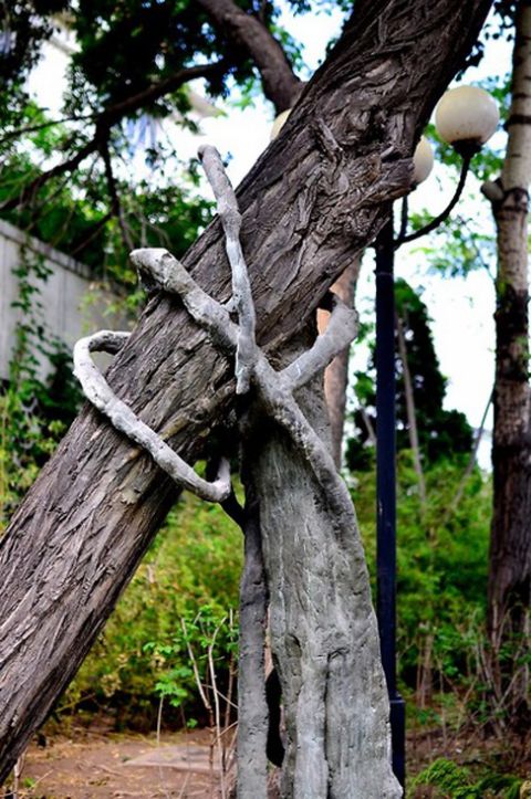 A manmade tree hand wrapped around another tree for support